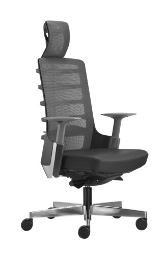Merryfair Spinelly Ergo Chair