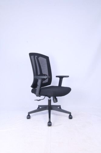 Sigma Ergo Chair